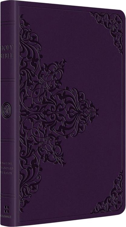 9781433566844 Large Print Value Thinline Bible