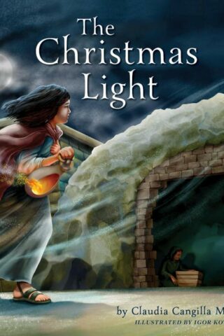 9781644131138 Christmas Light