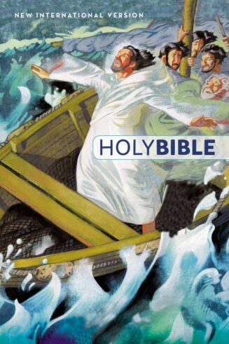 9780310763239 Childrens Holy Bible