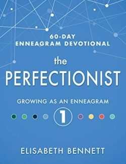 9781641235686 Perfectionist Growing As An Enneagram 1