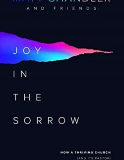 9781784983826 Joy In The Sorrow