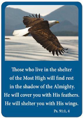 6006937100176 Those Who Live In The Shelter (Magnet)