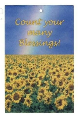 788200877300 Count Your Many Blessings Air Freshener