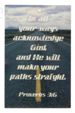 788200877362 In All Your Ways Air Freshener