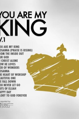 738597206627 You Are My King Vol. 1