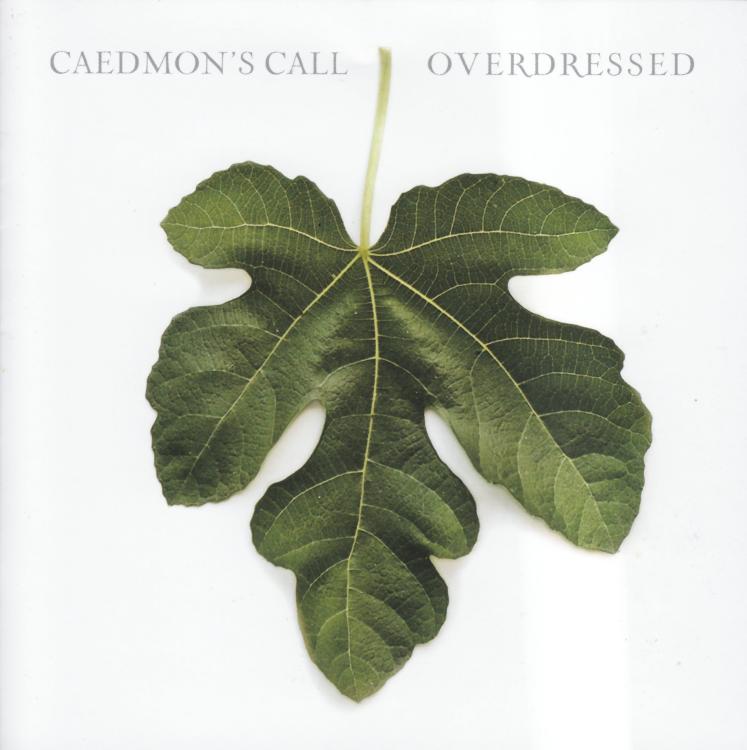 000768424421 Overdressed