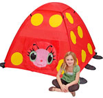 000772062046 I Can Do All Things Mollie Tent
