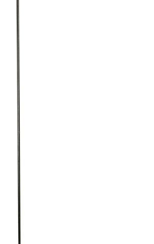 096069607755 Garden Stake