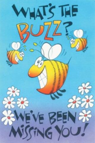 9780805403350 Whats The Buzz