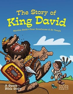 9781506402260 Story Of King David