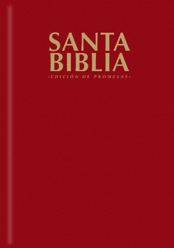 9781560639824 Promise Bible