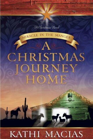 9781596693289 Christmas Journey Home