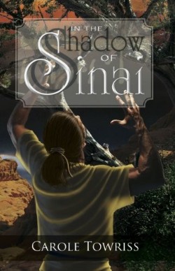 9781936341481 In The Shadow Of Sinai