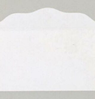 9780805407600 Bill Size Blank Offering Envelopes